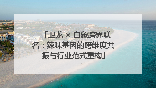 卫龙 × 白象跨界联名：辣味基因的跨维度共振与行业范式重构