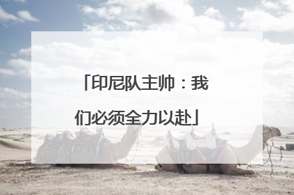 印尼队主帅：我们必须全力以赴