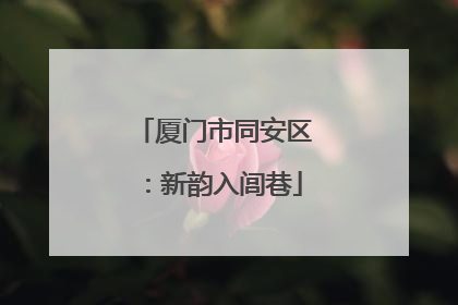 厦门市同安区：新韵入闾巷