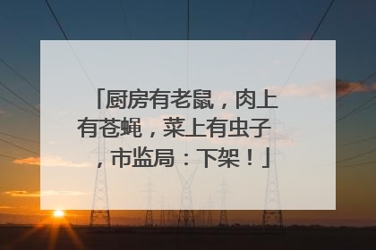 厨房有老鼠，肉上有苍蝇，菜上有虫子，市监局：下架！