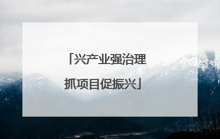 兴产业强治理 抓项目促振兴