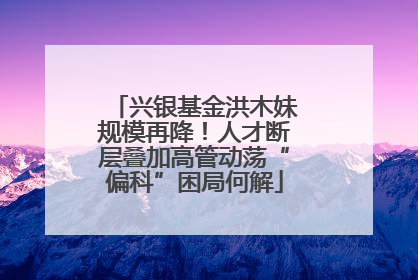 兴银基金洪木妹规模再降！人才断层叠加高管动荡“偏科”困局何解