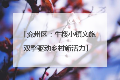 兖州区：牛楼小镇文旅双擎驱动乡村新活力