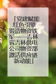 党建赋能 红色引擎锻造物资铁军——吉林省吉林供电公司物资部激活供应链新动能