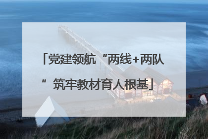 党建领航“两线+两队”筑牢教材育人根基