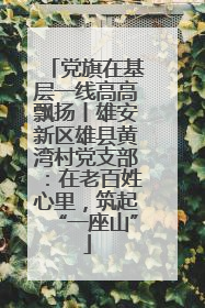 党旗在基层一线高高飘扬丨雄安新区雄县黄湾村党支部：在老百姓心里，筑起“一座山”