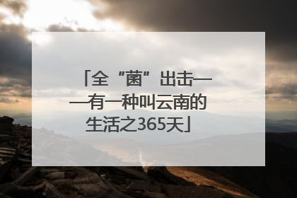 全“菌”出击——有一种叫云南的生活之365天