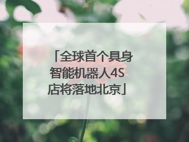 全球首个具身智能机器人4S店将落地北京