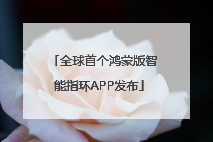 全球首个鸿蒙版智能指环APP发布