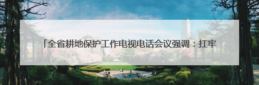 全省耕地保护工作电视电话会议强调：扛牢责任守住耕地保护红线 系统施治夯实粮食安全根基 王宁作出批示 王予波出席并讲话