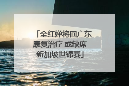 全红婵将回广东康复治疗 或缺席新加坡世锦赛