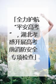 全力护航“平安高考”，湖北孝感开展高考前消防安全专项检查