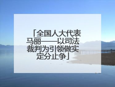 全国人大代表马丽——以司法裁判为引领做实定分止争