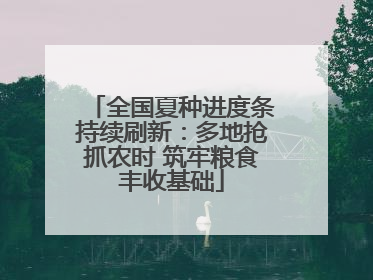 全国夏种进度条持续刷新：多地抢抓农时 筑牢粮食丰收基础