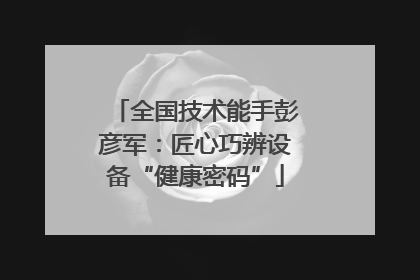 全国技术能手彭彦军：匠心巧辨设备“健康密码”