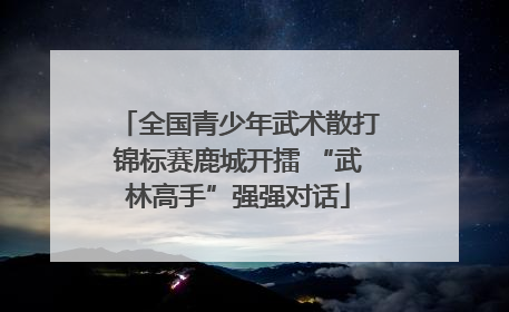 全国青少年武术散打锦标赛鹿城开擂 “武林高手”强强对话