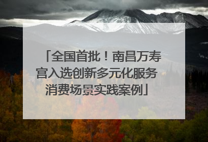 全国首批！南昌万寿宫入选创新多元化服务消费场景实践案例
