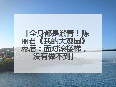 全身都是淤青！陈丽君《我的大观园》幕后：面对滚楼梯，没有做不到