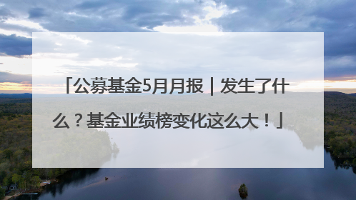 公募基金5月月报｜发生了什么？基金业绩榜变化这么大！