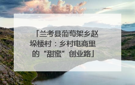 兰考县葡萄架乡赵垛楼村：乡村电商里的“甜蜜”创业路
