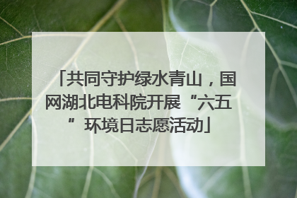 共同守护绿水青山，国网湖北电科院开展“六五”环境日志愿活动
