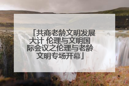 共商老龄文明发展大计 伦理与文明国际会议之伦理与老龄文明专场开幕
