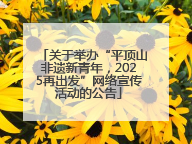 关于举办“平顶山非遗新青年，2025再出发”网络宣传活动的公告