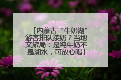 内蒙古“牛奶湖”游客排队接奶？当地文旅局：是纯牛奶不是湖水，可放心喝