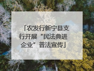 农发行新宁县支行开展“民法典进企业”普法宣传