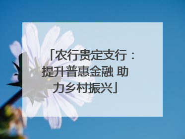 农行贵定支行：提升普惠金融 助力乡村振兴