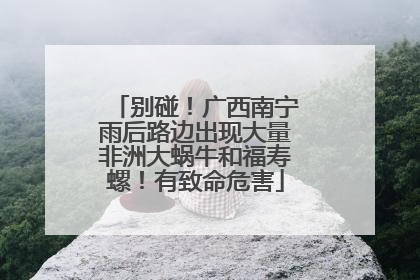别碰！广西南宁雨后路边出现大量非洲大蜗牛和福寿螺！有致命危害