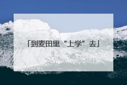 到麦田里“上学”去