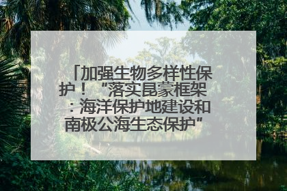 加强生物多样性保护！“落实昆蒙框架：海洋保护地建设和南极公海生态保护”主题论坛将举办