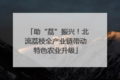 助“荔”振兴！北流荔枝全产业链带动特色农业升级