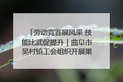 劳动竞赛展风采 技能比武促提升｜曲阜市吴村镇工会组织开展果树套袋技能竞赛