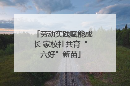 劳动实践赋能成长 家校社共育“六好”新苗