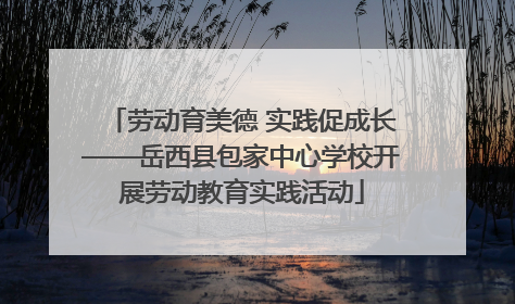 劳动育美德 实践促成长——岳西县包家中心学校开展劳动教育实践活动