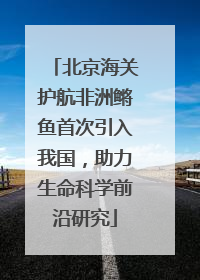 北京海关护航非洲鳉鱼首次引入我国，助力生命科学前沿研究