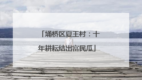 埇桥区夏王村：十年耕耘结出富民瓜