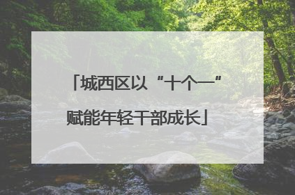 城西区以“十个一”赋能年轻干部成长