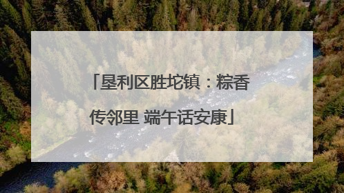 垦利区胜坨镇：粽香传邻里 端午话安康