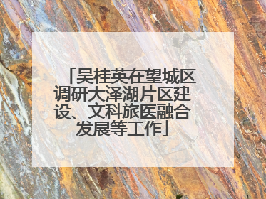 吴桂英在望城区调研大泽湖片区建设、文科旅医融合发展等工作