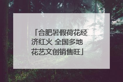 合肥暑假荷花经济红火 全国多地花艺文创销售旺