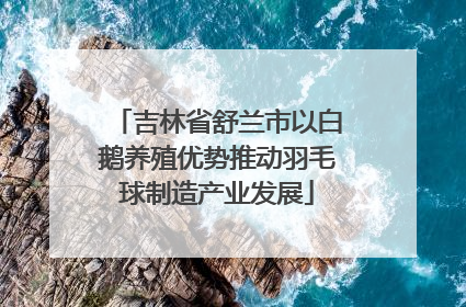 吉林省舒兰市以白鹅养殖优势推动羽毛球制造产业发展
