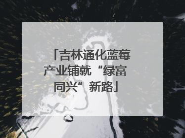吉林通化蓝莓产业铺就“绿富同兴”新路