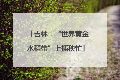 吉林：“世界黄金水稻带”上插秧忙