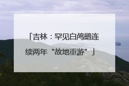 吉林：罕见白鸬鹚连续两年“故地重游”