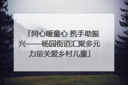 同心暖童心 携手助振兴——杨园街道汇聚多元力量关爱乡村儿童