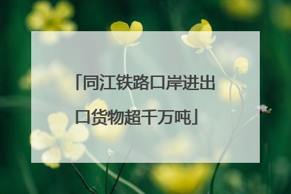 同江铁路口岸进出口货物超千万吨