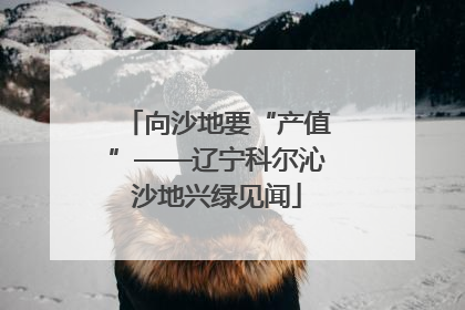 向沙地要“产值”——辽宁科尔沁沙地兴绿见闻